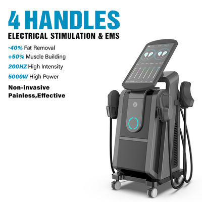 CE / FDA 大きなスクリーン プロエムス 筋肉刺激器 ハンサム 増強 骨盤床トレーニングマシン